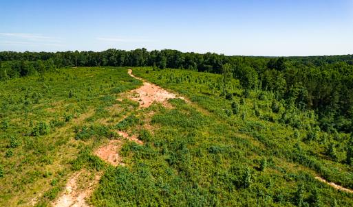 Photo #33 of SOLD property in Off Pleasant Grove Road, Halifax, VA 106.0 acres
