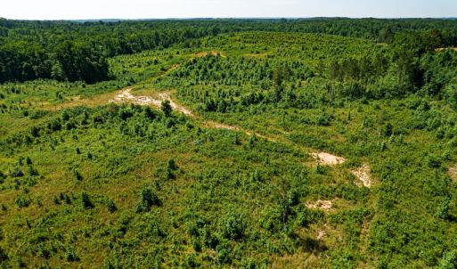 Photo #34 of SOLD property in Off Pleasant Grove Road, Halifax, VA 106.0 acres