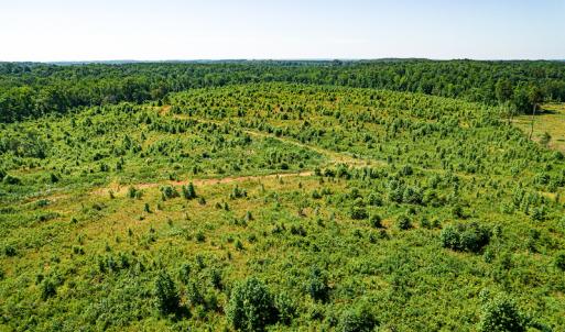 Photo #36 of SOLD property in Off Pleasant Grove Road, Halifax, VA 106.0 acres