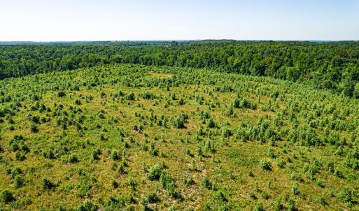Photo #37 of SOLD property in Off Pleasant Grove Road, Halifax, VA 106.0 acres