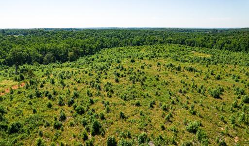 Photo #38 of SOLD property in Off Pleasant Grove Road, Halifax, VA 106.0 acres