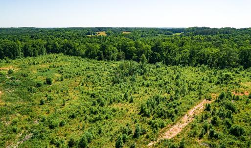 Photo #39 of SOLD property in Off Pleasant Grove Road, Halifax, VA 106.0 acres
