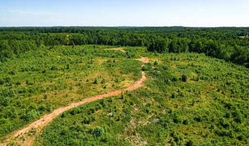 Photo #40 of SOLD property in Off Pleasant Grove Road, Halifax, VA 106.0 acres
