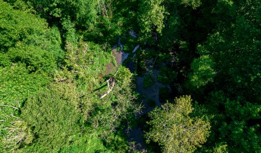 Photo #41 of SOLD property in Off Pleasant Grove Road, Halifax, VA 106.0 acres