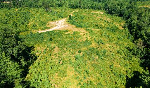Photo #42 of SOLD property in Off Pleasant Grove Road, Halifax, VA 106.0 acres
