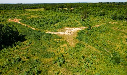 Photo #43 of SOLD property in Off Pleasant Grove Road, Halifax, VA 106.0 acres