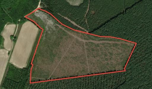 Photo #1 of SOLD property in Off Hwy 158, Jackson, NC 57.4 acres