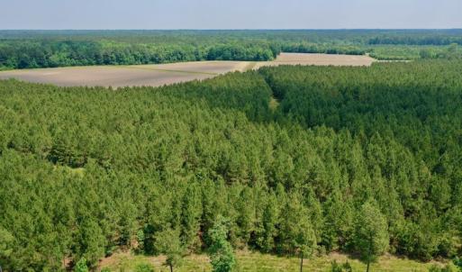 Photo #3 of SOLD property in Off Hwy 158, Jackson, NC 57.4 acres