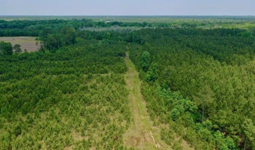 Photo #4 of SOLD property in Off Hwy 158, Jackson, NC 57.4 acres