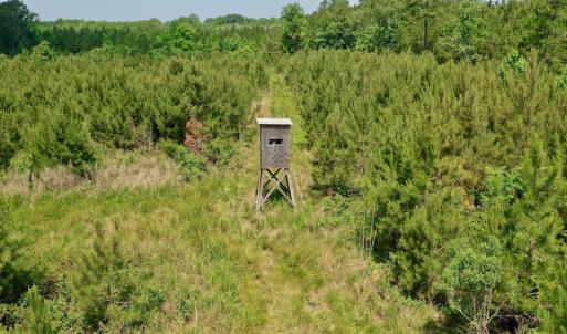 Photo #6 of SOLD property in Off Hwy 158, Jackson, NC 57.4 acres