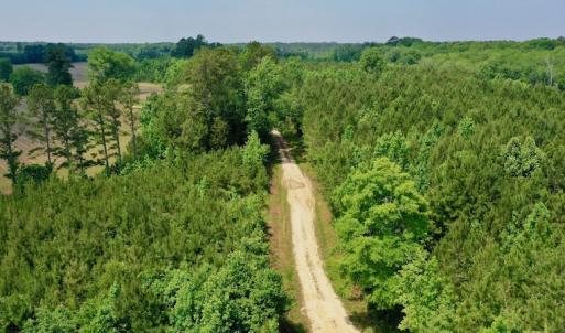 Photo #7 of SOLD property in Off Hwy 158, Jackson, NC 57.4 acres