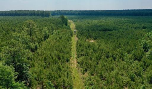 Photo #8 of SOLD property in Off Hwy 158, Jackson, NC 57.4 acres