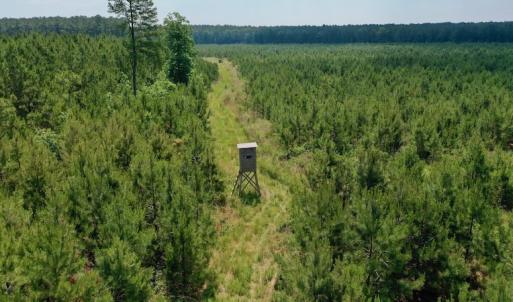 Photo #9 of SOLD property in Off Hwy 158, Jackson, NC 57.4 acres