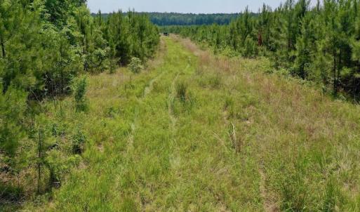 Photo #10 of SOLD property in Off Hwy 158, Jackson, NC 57.4 acres