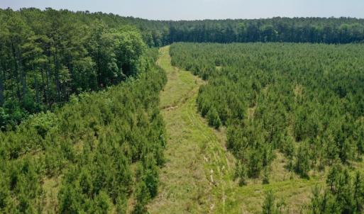 Photo #11 of SOLD property in Off Hwy 158, Jackson, NC 57.4 acres