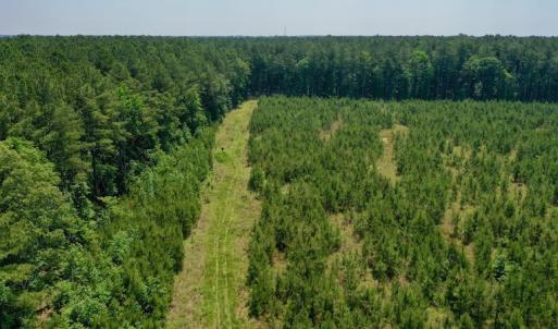 Photo #12 of SOLD property in Off Hwy 158, Jackson, NC 57.4 acres