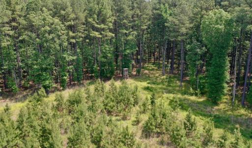 Photo #13 of SOLD property in Off Hwy 158, Jackson, NC 57.4 acres