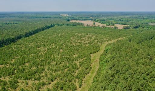 Photo #14 of SOLD property in Off Hwy 158, Jackson, NC 57.4 acres