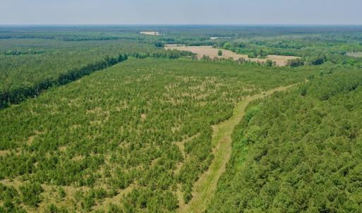 Photo #15 of SOLD property in Off Hwy 158, Jackson, NC 57.4 acres