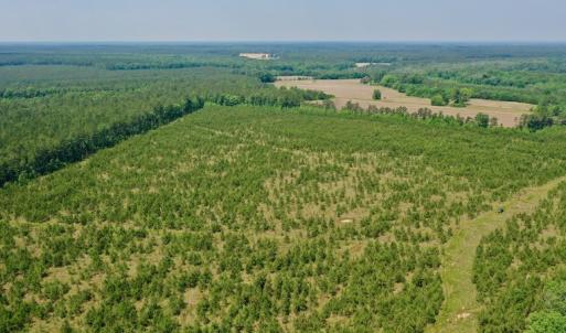 Photo #16 of SOLD property in Off Hwy 158, Jackson, NC 57.4 acres