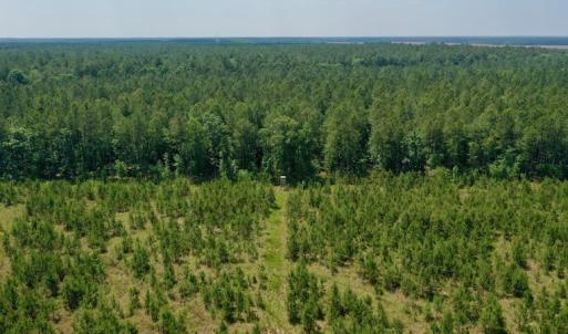 Photo #17 of SOLD property in Off Hwy 158, Jackson, NC 57.4 acres