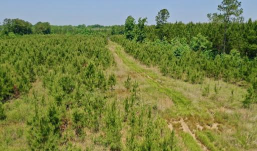 Photo #21 of SOLD property in Off Hwy 158, Jackson, NC 57.4 acres