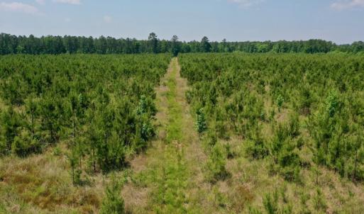Photo #22 of SOLD property in Off Hwy 158, Jackson, NC 57.4 acres