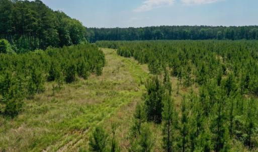 Photo #23 of SOLD property in Off Hwy 158, Jackson, NC 57.4 acres