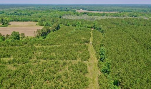 Photo #24 of SOLD property in Off Hwy 158, Jackson, NC 57.4 acres