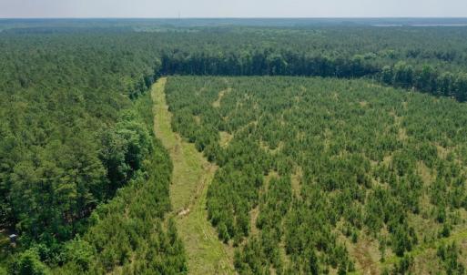 Photo #25 of SOLD property in Off Hwy 158, Jackson, NC 57.4 acres