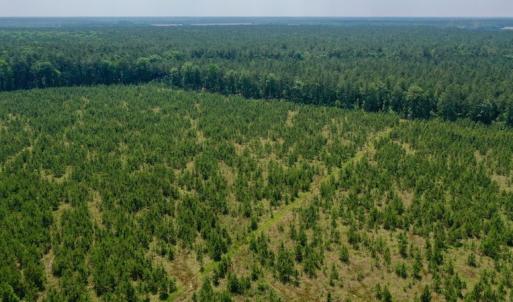 Photo #26 of SOLD property in Off Hwy 158, Jackson, NC 57.4 acres