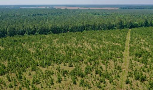 Photo #27 of SOLD property in Off Hwy 158, Jackson, NC 57.4 acres