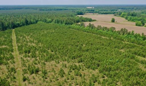 Photo #28 of SOLD property in Off Hwy 158, Jackson, NC 57.4 acres