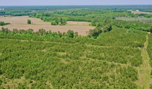 Photo #29 of SOLD property in Off Hwy 158, Jackson, NC 57.4 acres