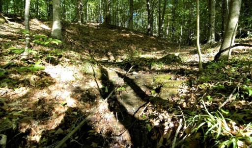 Photo #15 of SOLD property in Off Mica Road, Ridgeway, VA 5.3 acres