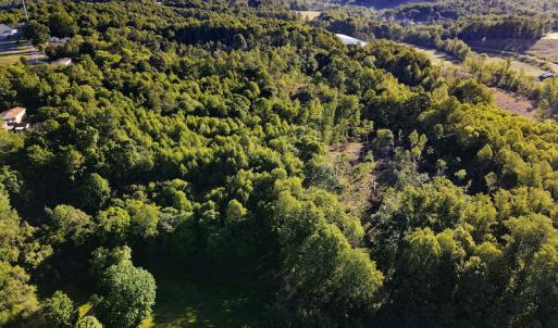 Photo #2 of SOLD property in Off Mica Road, Ridgeway, VA 5.3 acres