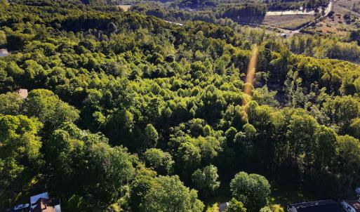 Photo #3 of SOLD property in Off Mica Road, Ridgeway, VA 5.3 acres