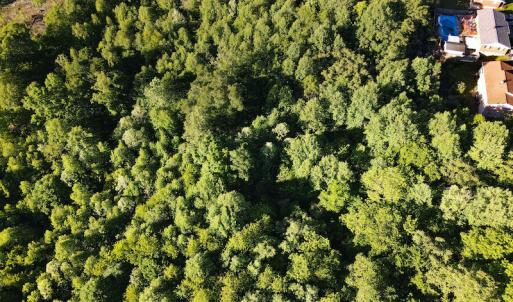 Photo #20 of SOLD property in Off Mica Road, Ridgeway, VA 5.3 acres