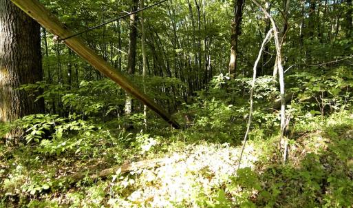 Photo #7 of SOLD property in Off Mica Road, Ridgeway, VA 5.3 acres