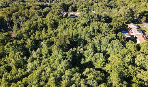 Photo #21 of SOLD property in Off Mica Road, Ridgeway, VA 5.3 acres