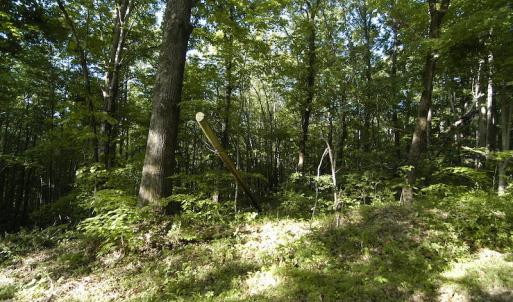 Photo #8 of SOLD property in Off Mica Road, Ridgeway, VA 5.3 acres