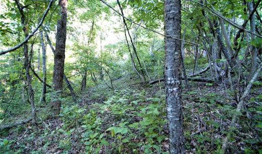 Photo #14 of SOLD property in Off Mica Road, Ridgeway, VA 5.3 acres