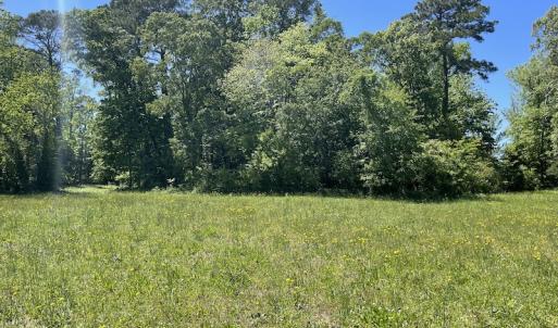 Photo #16 of Off Townfield Drive, Cape Charles, VA 17.5 acres
