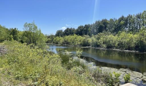 Photo #18 of Off Townfield Drive, Cape Charles, VA 17.5 acres