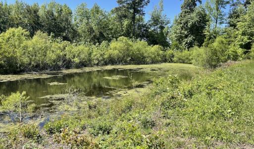 Photo #19 of Off Townfield Drive, Cape Charles, VA 17.5 acres