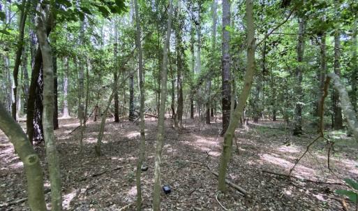 Photo #18 of SOLD property in Off General Mahone Highway, Waverly, VA 41.0 acres