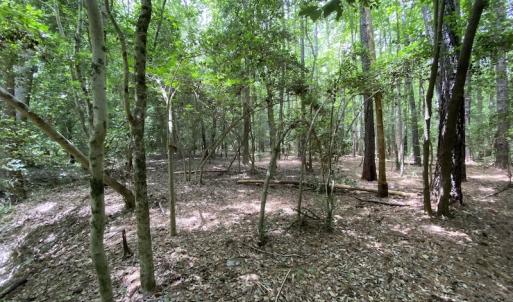 Photo #19 of SOLD property in Off General Mahone Highway, Waverly, VA 41.0 acres