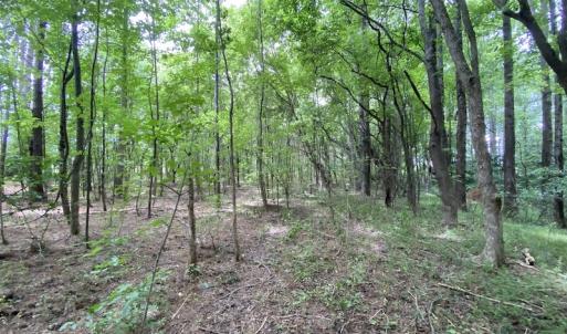Photo #22 of SOLD property in Off General Mahone Highway, Waverly, VA 41.0 acres