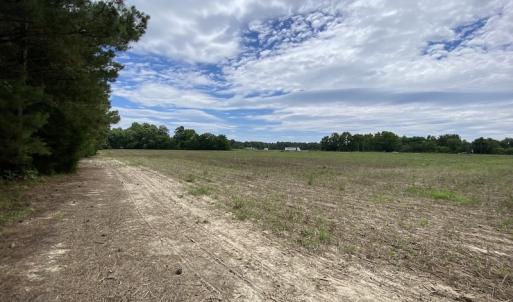Photo #26 of SOLD property in Off General Mahone Highway, Waverly, VA 41.0 acres