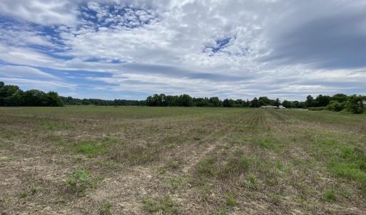 Photo #27 of SOLD property in Off General Mahone Highway, Waverly, VA 41.0 acres